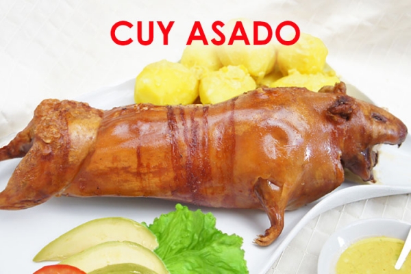 cuyD7BDECB4-47F6-FEAB-6CDD-2E6B89257DBB.jpg