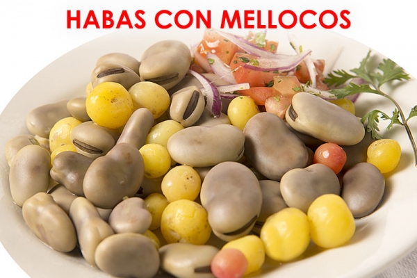 habas828A4963-AC54-1D4A-1500-19F3FC95CD5E.jpg